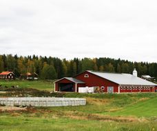 Ladugård för mjölkkor i Östansjö